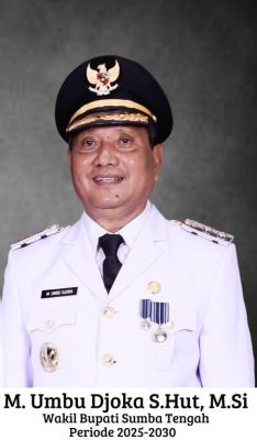 Wakil Bupati